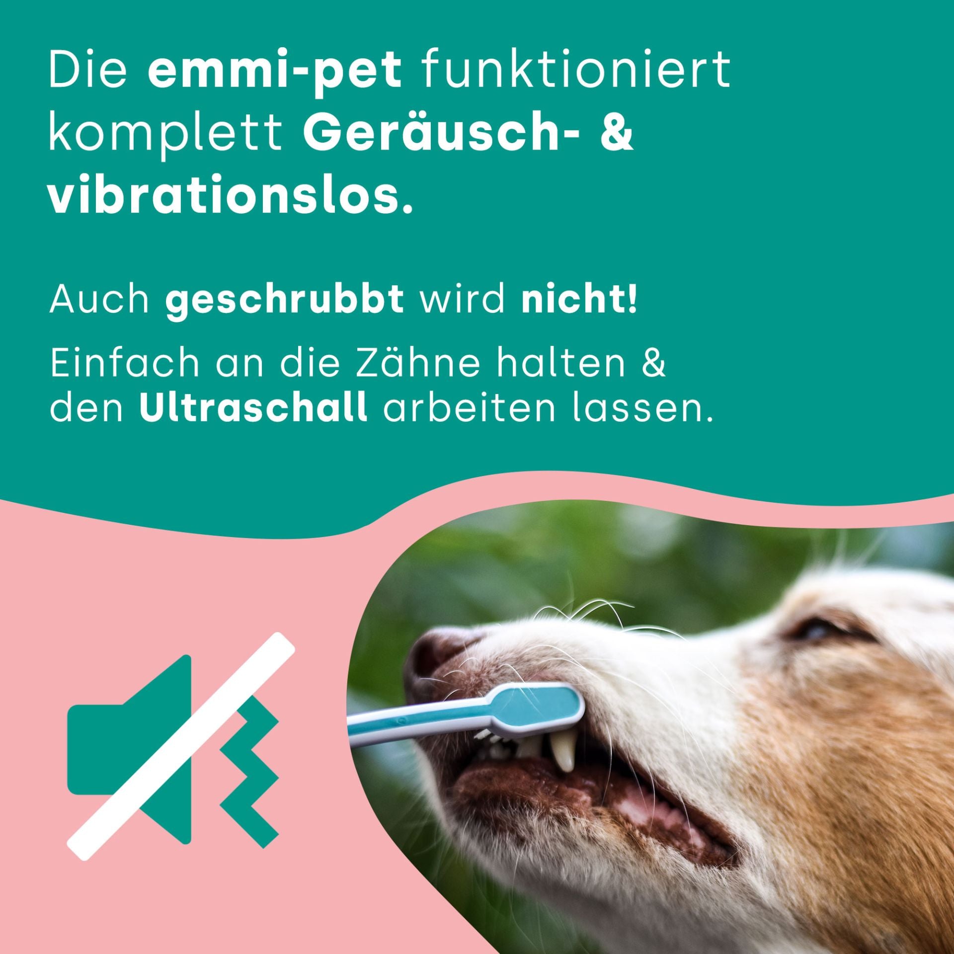 18262 - Emmi-pet Basis Set 2.0 EU Limited Rose