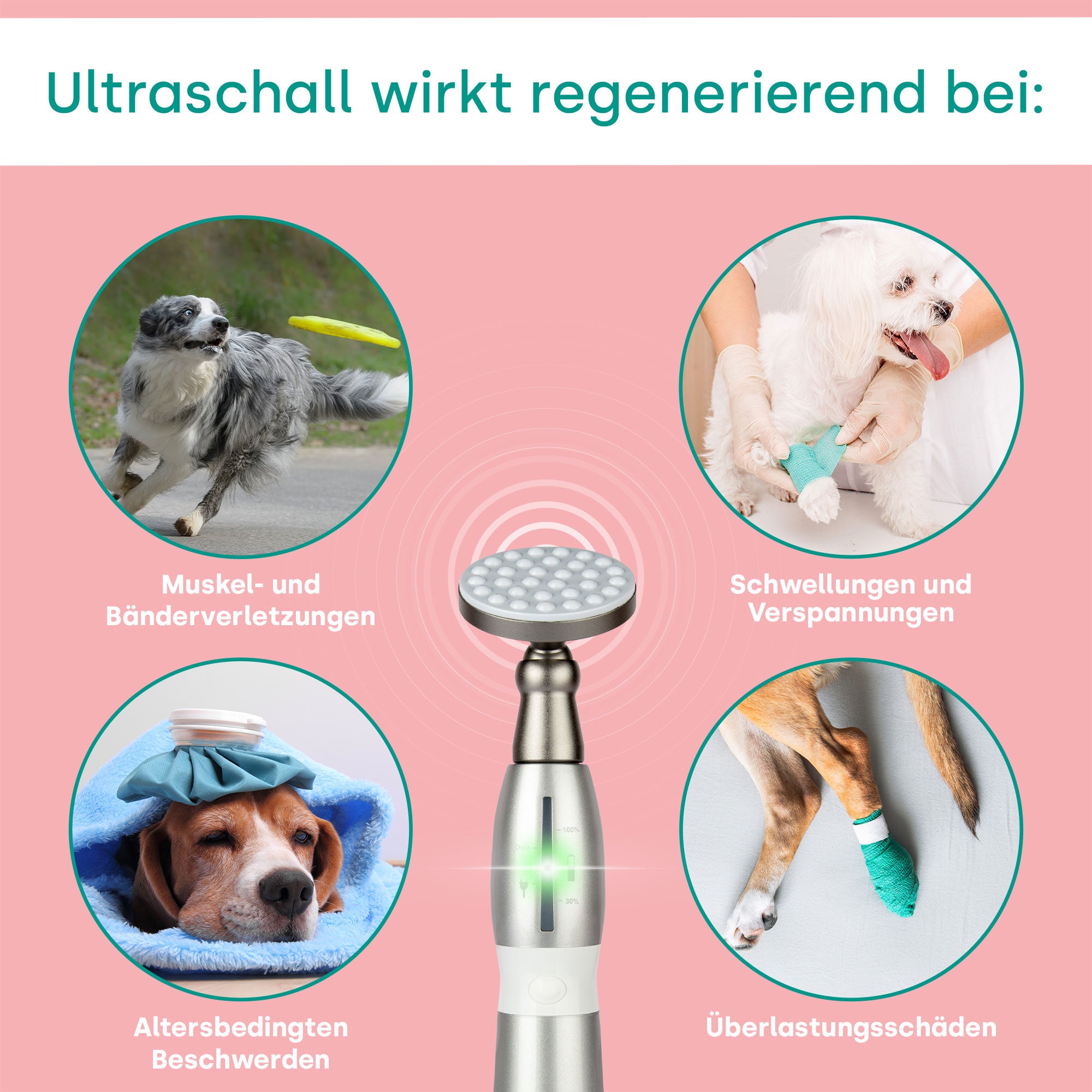 emmi-pet Physio Set PLUS (spina: UE)