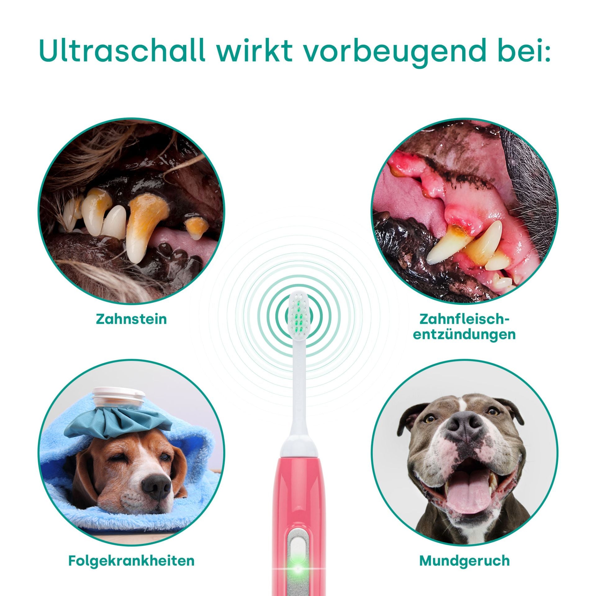 18262 - Emmi-pet Basis Set 2.0 EU Limited Rosa 